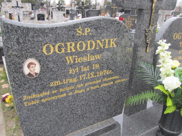 Wiesław Ogrodnik Andrzejewo - Grobonet - Wyszukiwarka osób pochowanych